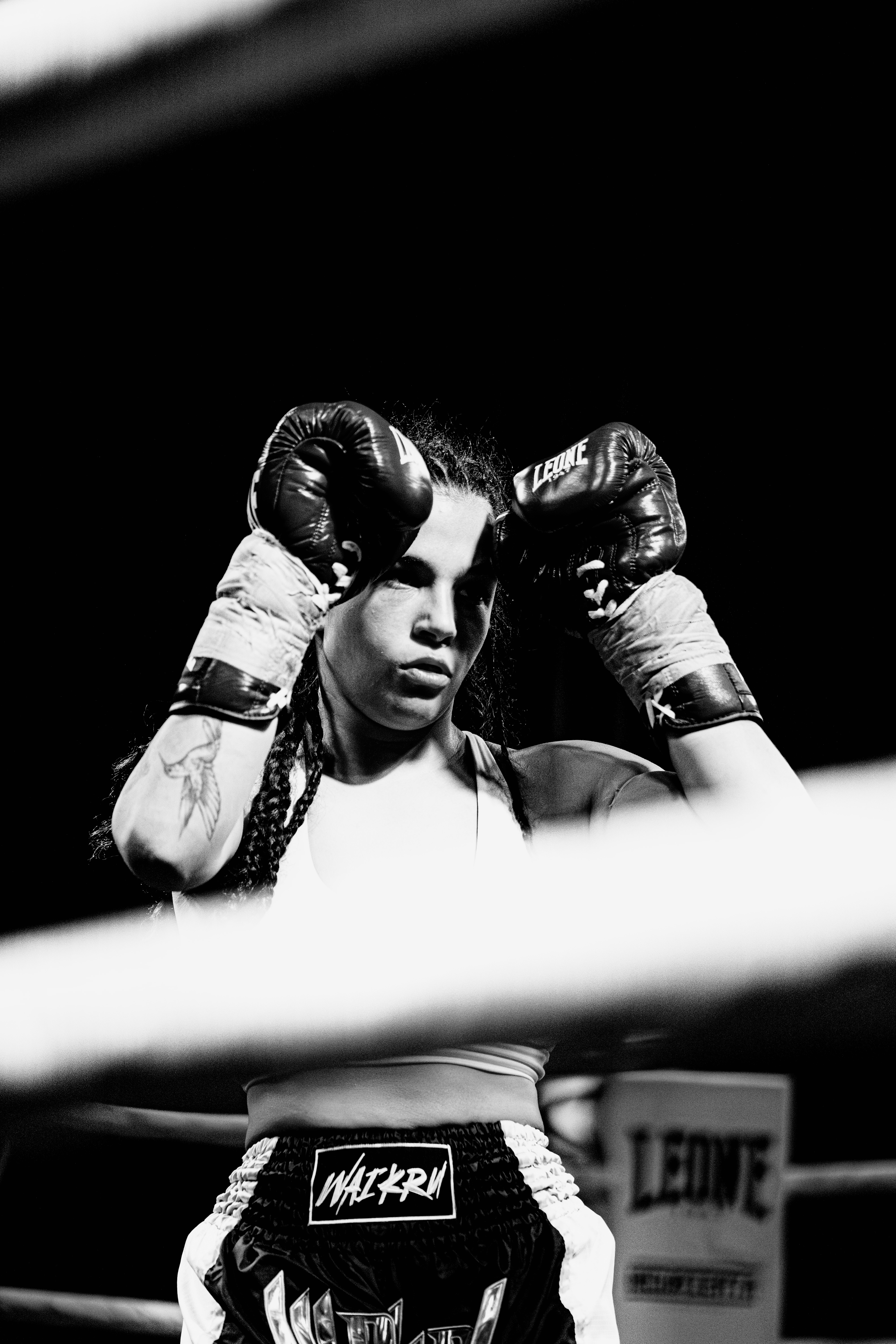 Entrenamiento Panthera 1