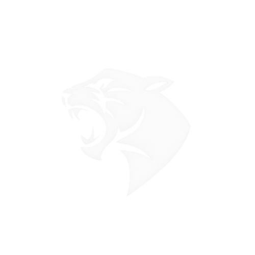 Panthera Project